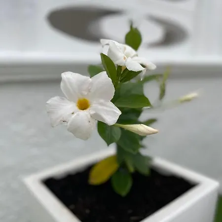 Santiago E Ian * Maruggio